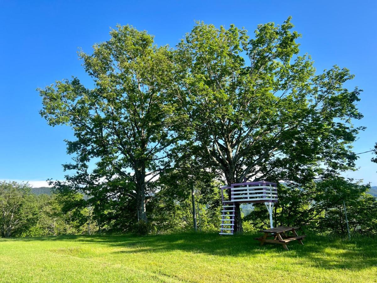 Agriturismo Il Serrino San Marcello Pistoiese Dış mekan fotoğraf