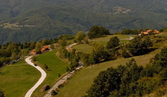 Agriturismo Il Serrino San Marcello Pistoiese Dış mekan fotoğraf